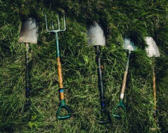 Boost to Gardening Project Tackling Mental Health