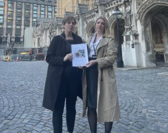 Victims’ Commissioner takes domestic abuse survey to Parliament