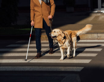 PCC and Guide Dogs charity demand government act over dangerous e-scooters